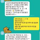 시윤농장 | 오늘은 후기만 모아 봤어요. 입소문으로만 15년째네요.