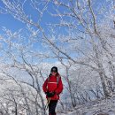 2017년 1월 21일 제6차 김천 황악산을 다녀와서 이미지