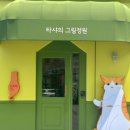 카페타샤 이미지