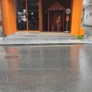 임실셀프회집 | 부산 2박4일 레전드 코스 일정 공개합니다. 유명 맛집 웨이팅 성공비법 이것만 따라하세요.