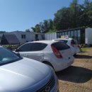 하빛율빠꿈사리 이미지