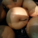 만지농장 이미지