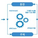 케이씨엠씨