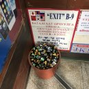 뉴-금호사진관