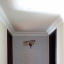 트럼프월드마린 이미지