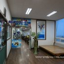17번횟집