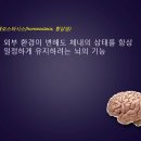 호메오 이미지