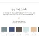 새얀 이미지