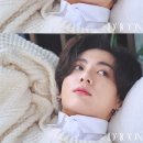 디코튼