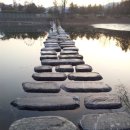 산새소리펜션 이미지