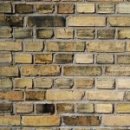 더마음모리 이미지