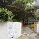 아이노가든 | 경복궁역 서촌 분위기가 너무 좋았던 아이노가든키친 후기