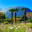 거제식물원 이미지