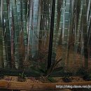 죽림원 이미지