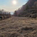 칠성면사무소 이미지