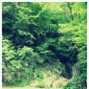 펜션 로빈나 문화마을 이미지