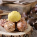 더조은농장 이미지