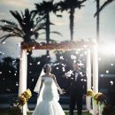 임요환 카카오 검색결과