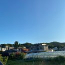 신촌로4번길 이미지