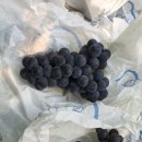 은실농장 이미지