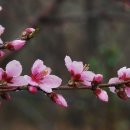 금월농장 이미지