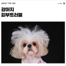 개님살롱 이미지