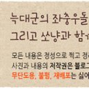 커피쏘냥 이미지