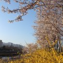 마들스타디움 이미지