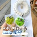쁘띠뇽 | 익산 소품샵｜쁘띠뇽소품샵