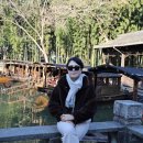 굿모닝여행사주 - 안성시 동평길 49 | 3대 모녀가 함께하는 상하이 여행 2 : 화려한 난징동루, 고요한 우전수향마을