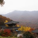문수암 Daum카페