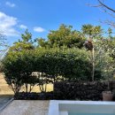 애월담아 이미지