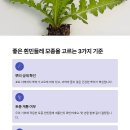 민들레2농장 이미지