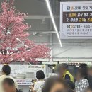 담양갈비 | [담양 무한리필 돼지갈비] 담양담빛갈비, 솔직 후기
