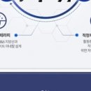 베스트 캣 이미지