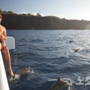 일세기농장 이미지