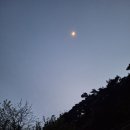 의병과 쉬파리 단상 이미지