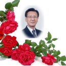 알찬복 이미지