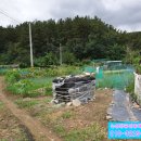 삼강공인중개사사무소 이미지