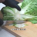 고수의 비법 이미지