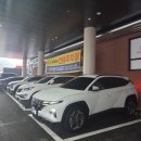 1953 | 대전 도안동 신상 맛집 1953서서갈비 내돈내산 솔직 후기