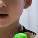 붕붕종합카 이미지