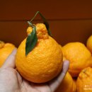 달콤새콤 이미지