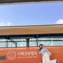 군산역 | 서해금빛열차 예약 온돌마루실 가격, 노선 수원역에서 군산역 당일치기여행 3인 탑승 후기