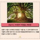 충실 태양광발전소 이미지