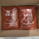 뚱이식당 - 여수시 | 뚱이식당