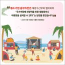 제주항구 이미지