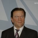 법무법인택스로