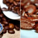 바리스타(창업) B 이미지