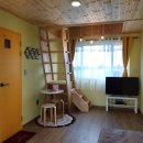 조이핑크하우스 이미지